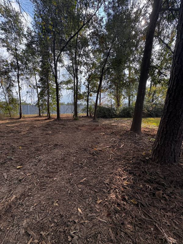 Mulched wooded lot